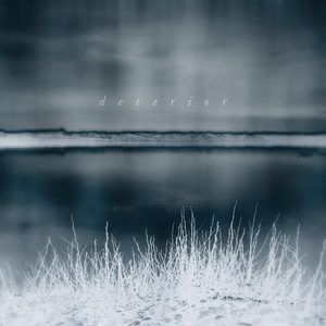 Cleanse: Tower to Sky