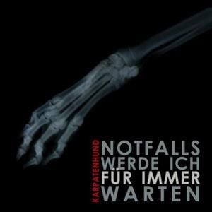 Notfalls werde ich für immer warten (Treiber 'Ins Licht' remix)