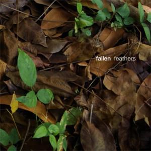 Feathers (EP)