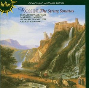 String Sonata No. 1 in G major: I. Moderato