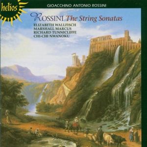 The String Sonatas