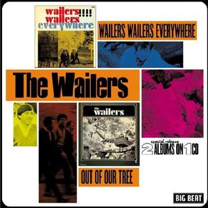 The Wailer