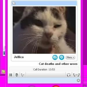 Cat Deaths and Other Woes (EP)