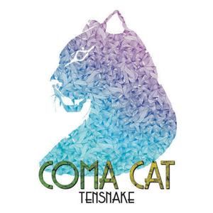 Coma Cat (Round Table Knights remix)