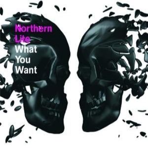 What You Want (All Mighty remix)