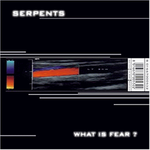 What Is Fear?