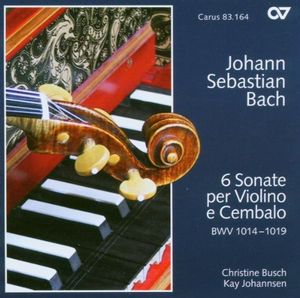 Sonate Nr. 4 in c-moll, BWV 1017: III. Adagio