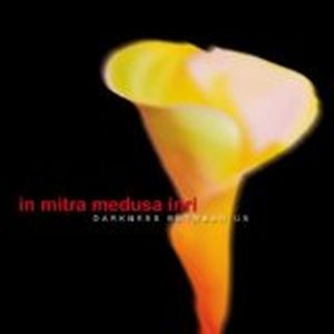 Do You Call That Human?