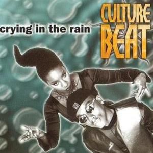 Crying in the Rain (Let the Love House 7" mix)