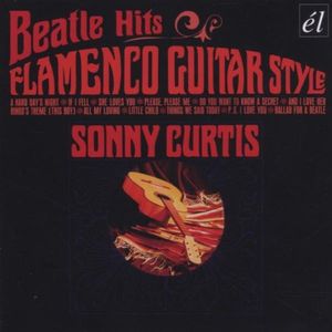 Beatle Hits Flamenco Guitar Style