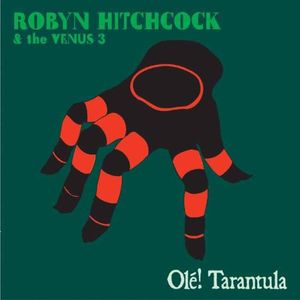 Olê! Tarantula