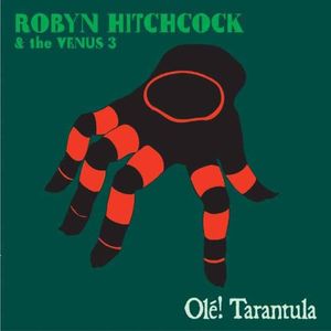 Olé! Tarantula (album version)