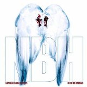 In Your Dreams (Album Version)