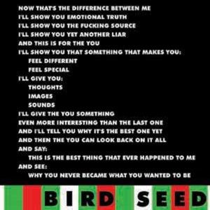 Bird Seed