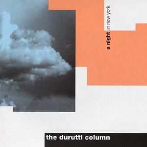 Pol in B (Live)