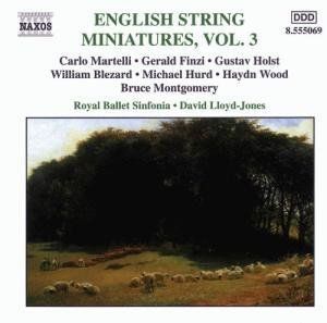 Concertino for String Orchestra: II. Lento espressivo