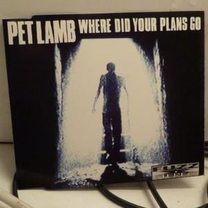 Where Did Your Plans Go (Single)