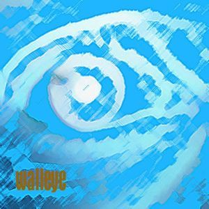 13 Songs