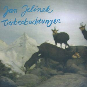 Tierbeobachtung