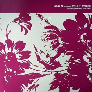 Wild Flowers (Tom Clark remix)