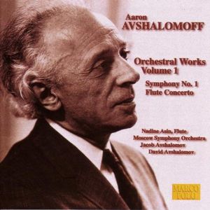 Flute Concerto: I. Andante: Allegro