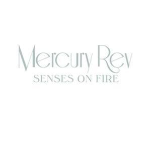 Senses on Fire (Fujiya & Miyagi remix)