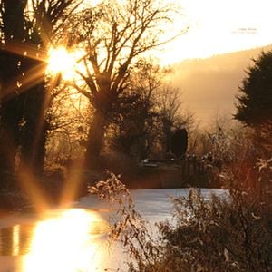 The Echo Garden