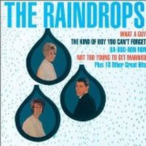 The Raindrops