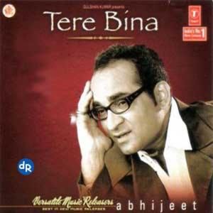 Tere Bina