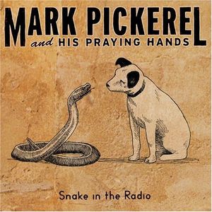 Snake in the Radio