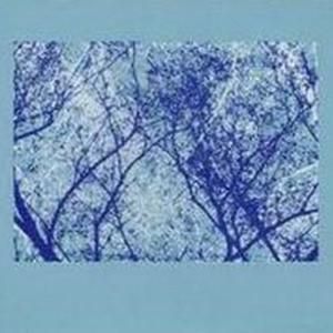 O, Blessed Night Your Sunrise Has Burnt Down