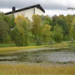 Sliding Window