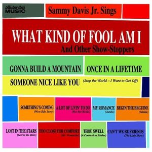 What Kind of Fool Am I: And Other Show‐Stoppers