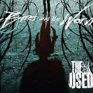 The Bird and the Worm (Single)