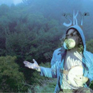 Animals Calling