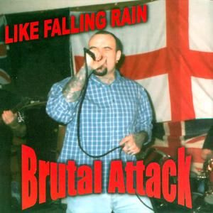 Like Falling Rain (Single)