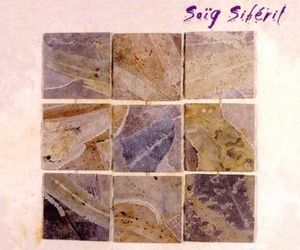 Chanier Des an Amzer