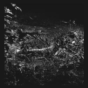 Dmu-Bdud Kam-Po So-Zan