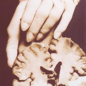 The Scent of Human Decay