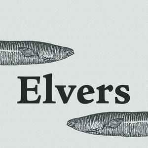 Elvers