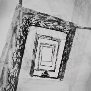 Intr-o Lime Plina De Caine