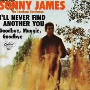 I'll Never Find Another You / Goodbye, Maggie, Goodbye (Single)