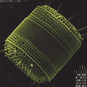 Diatom