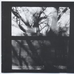 Peter Von Pinnon Final Draft