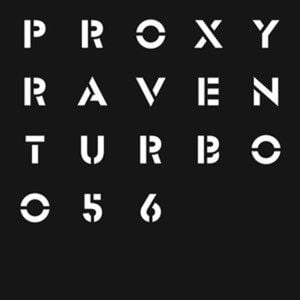 Raven (Polymorphic remix)