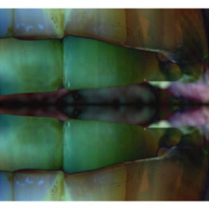 Reverse Entropy Catalyst