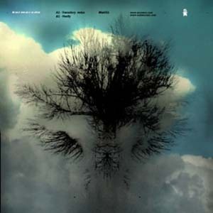 Transitory Mini EP (EP)