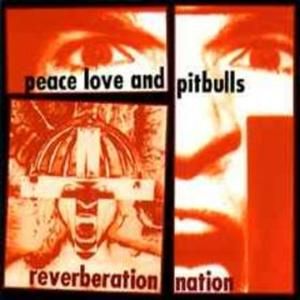 Reverberation Nation (7" mix)