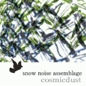 snow noise assemblage