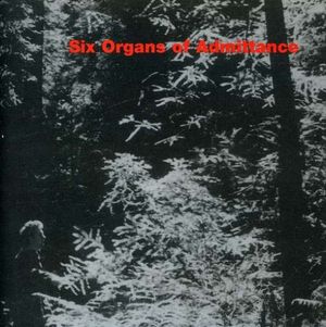 Six Organs Of Admittance